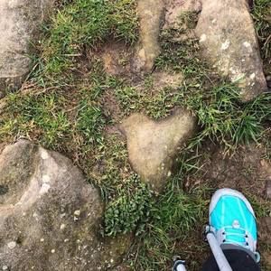 Meet your Posher, Margaret